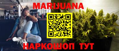 гидра Гатчина