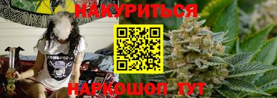 гидра Гатчина