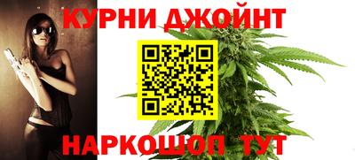гидра Гатчина