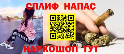 гидра Гай