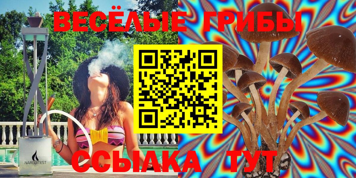 Галлюциногенные грибы MAGIC MUSHROOMS Магнитогорск