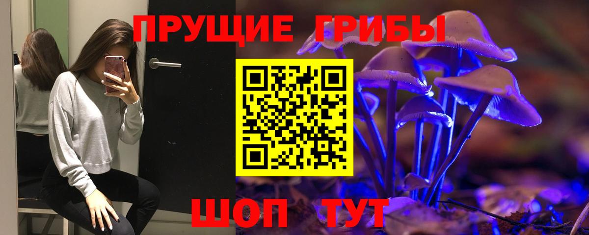 Псилоцибиновые грибы GOLDEN TEACHER  Вход с VPN  Галлюциногенные грибы прущие грибы  Магнитогорск 